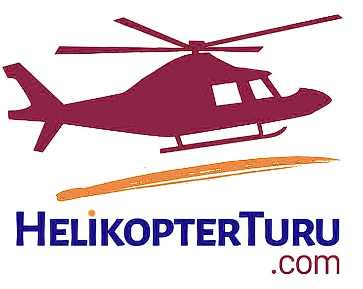 fidankontrol.online_logo