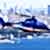 helikopterturu boğaziçi