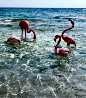 PARADISO_ALAÇATI